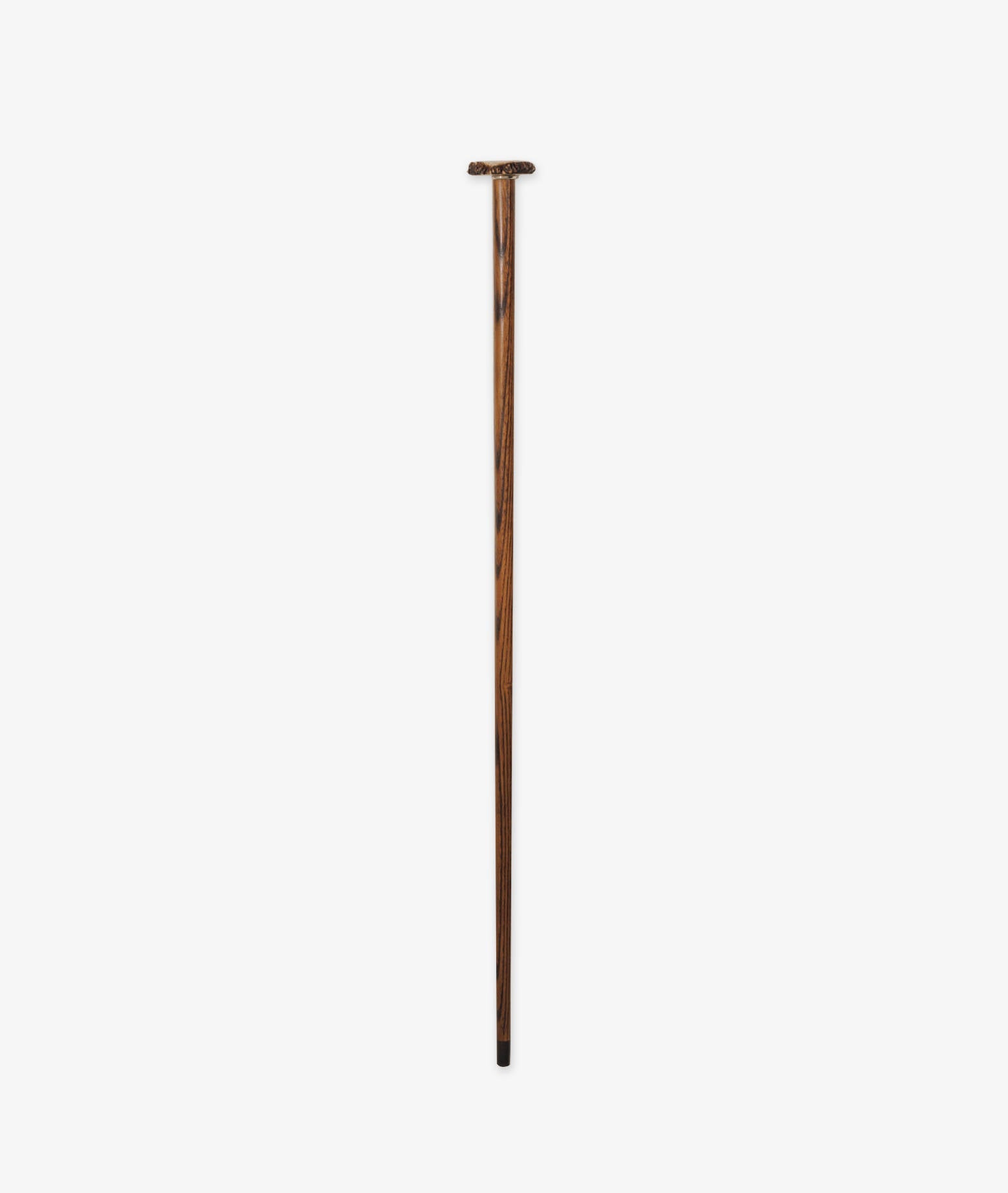 Walking Stick Brummell Brown Sticks