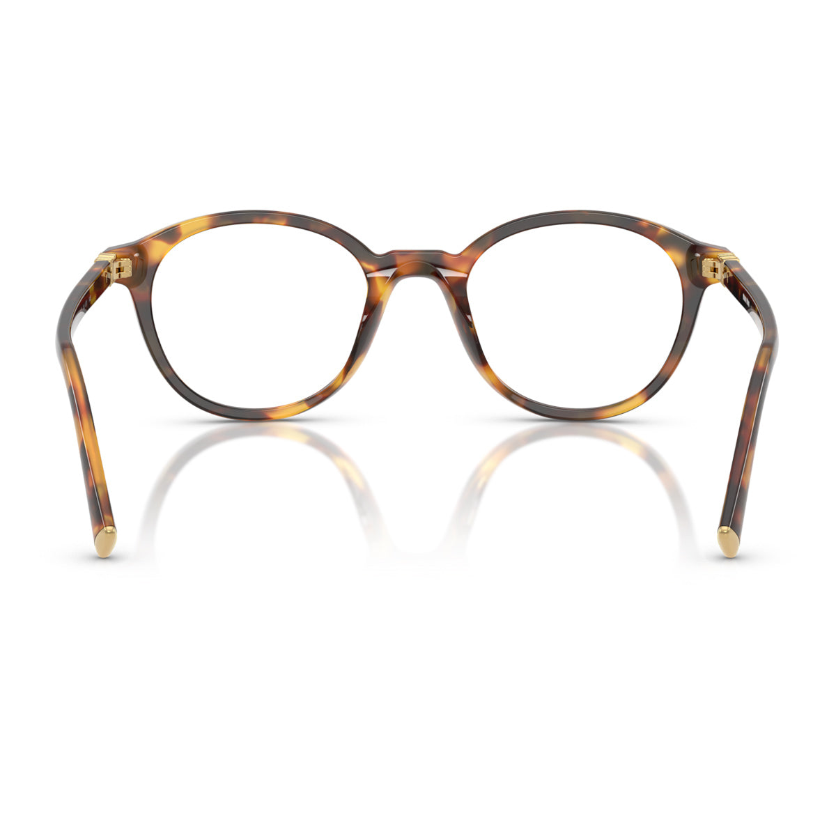 Miu 0MU 02WV Vista 14L1O1 Havana Marrone Acetate Occhiali Da