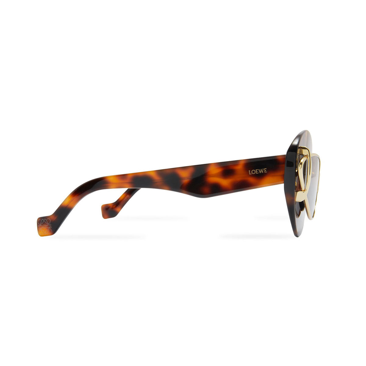 LW40119I 52E Marrone Acetate/metal Occhiali Sole