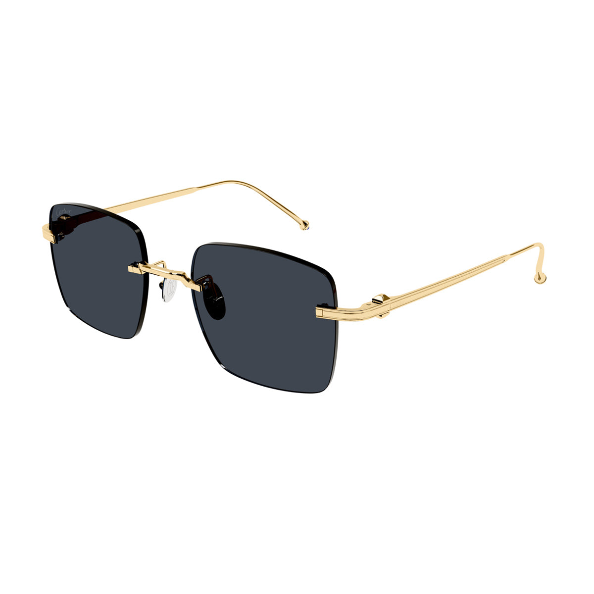 CT0403S 002 Oro Titanium Occhiali Sole