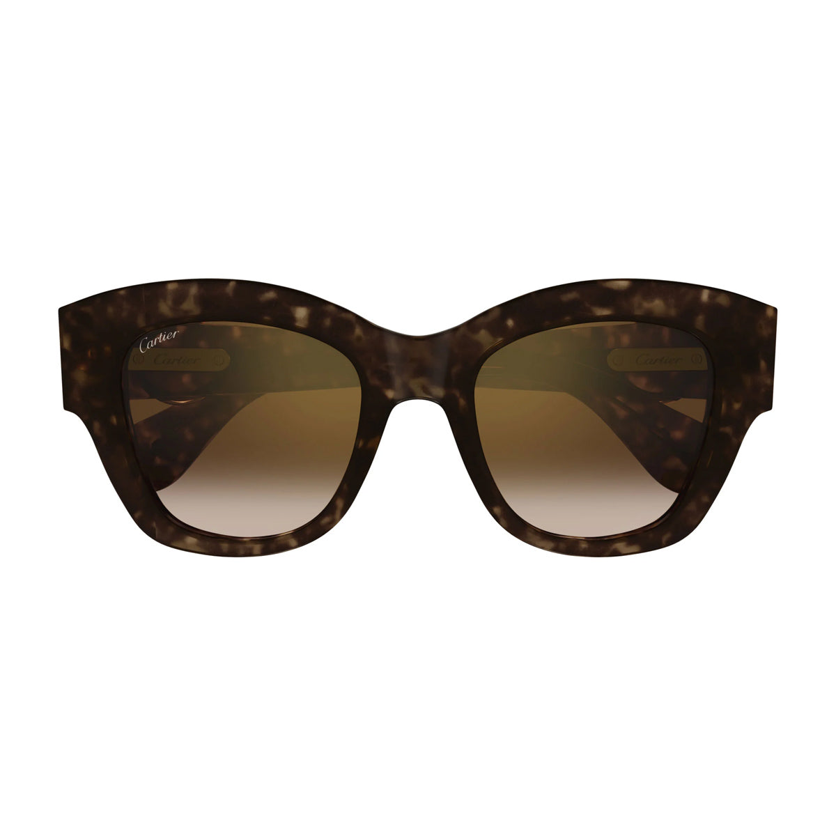 Cartier CT0547S Panthère C de 002 Havana Brown Marrone Recycled Acetate Occhiali Da Sole
