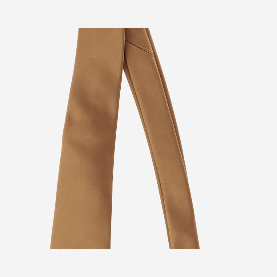 Silk Satin Tie Light Brown Ties & Bow