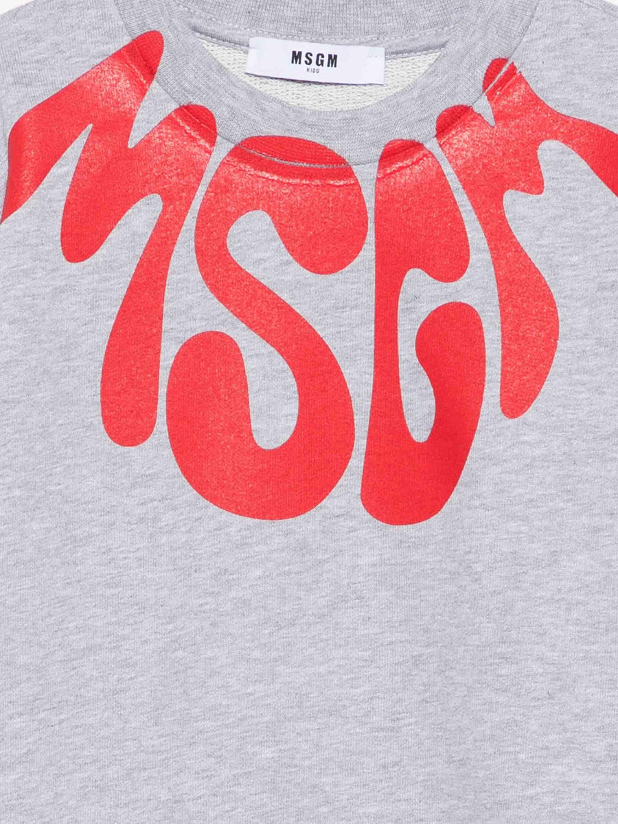 Hooded Sweatshirt Grey Cotton Hoods & Sweatshirts