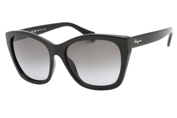 Ferragamo SF957S Plastic frame sunglasses in black