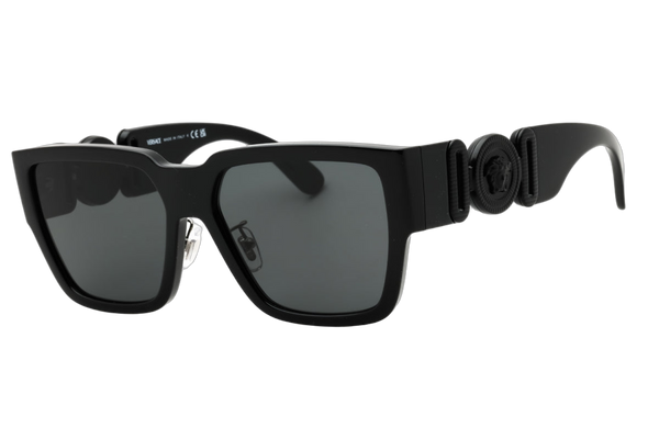 Versace VE4483D536087 sunglasses in black