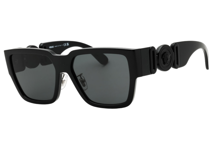 Versace VE4483D536087 sunglasses in black