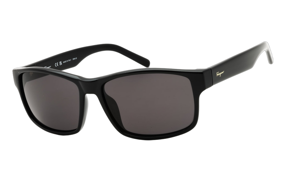 Ferragamo SF960S Injected propionate frame sunglasses in black