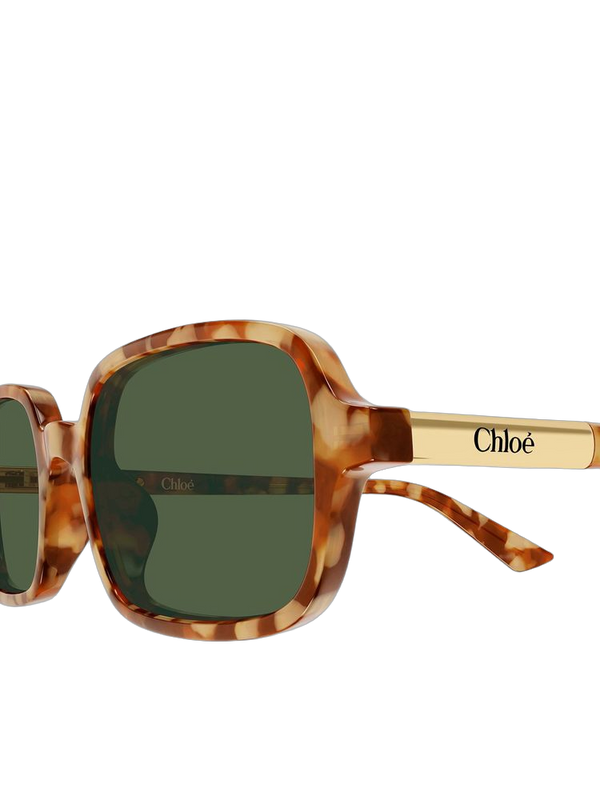Chloé CH0363S Recycled acetate sunglasses in brown