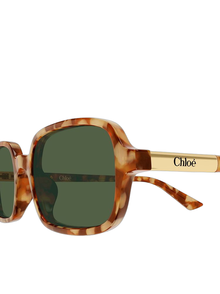 Chloé CH0363S Recycled acetate sunglasses in brown