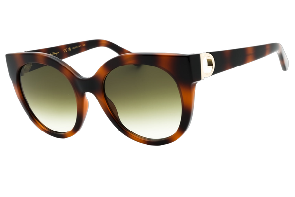 Ferragamo sunglasses in tortoiseshell