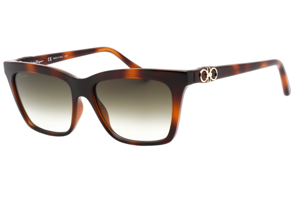 Ferragamo SF1027S Injected propionate frame; grey gradient lens sunglasses in brown