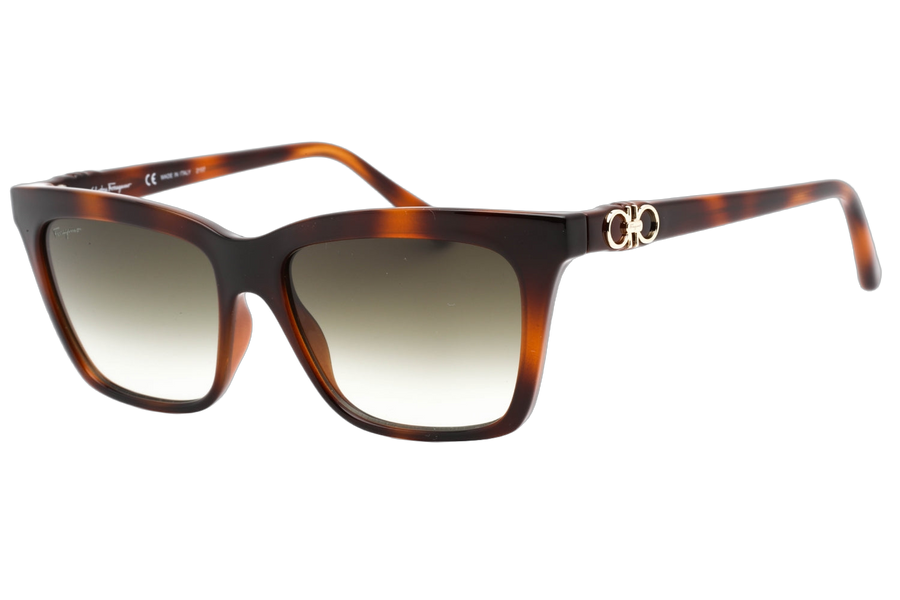 Ferragamo SF1027S Injected propionate frame; grey gradient lens sunglasses in brown