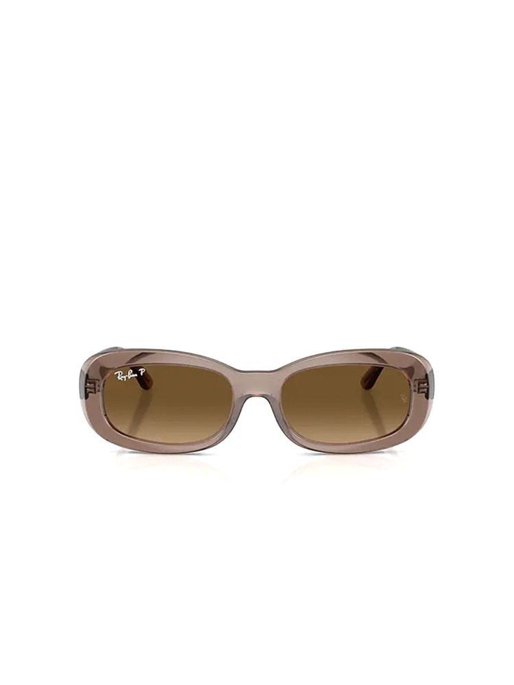 Ray-Ban 0RB2221 Acetate sunglasses in brown