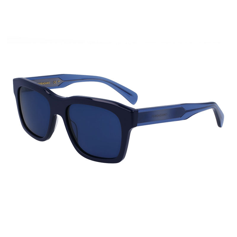 Ferragamo Acetate frame; plastic lenses sunglasses in blue