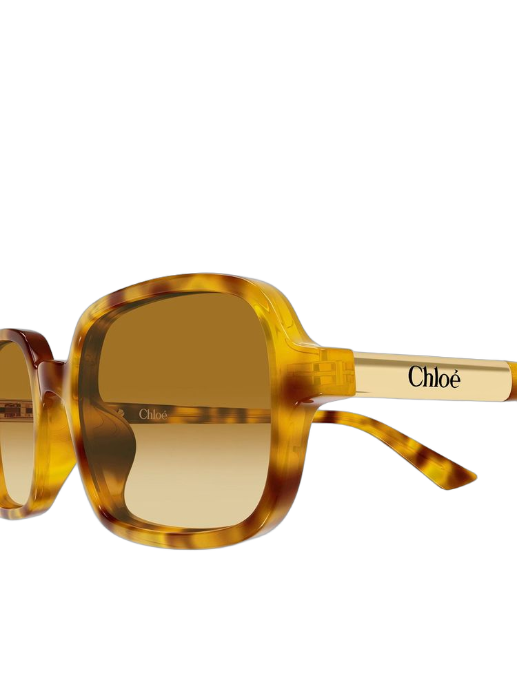 Chloé CH0363S Recycled acetate sunglasses in brown