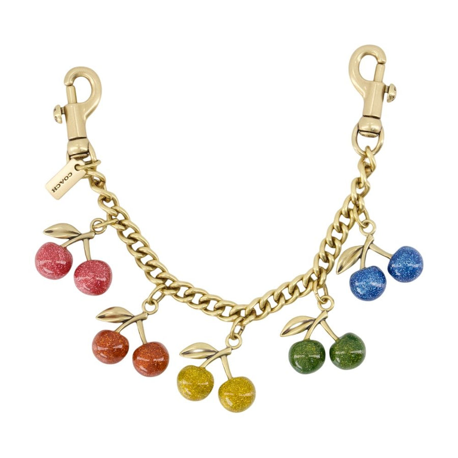 Rainbow Cherries Charm - Coach Acrylic Gold Accessories / Charms