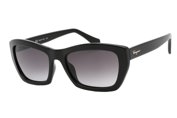 Ferragamo SF958S Injected propionate frame sunglasses in black