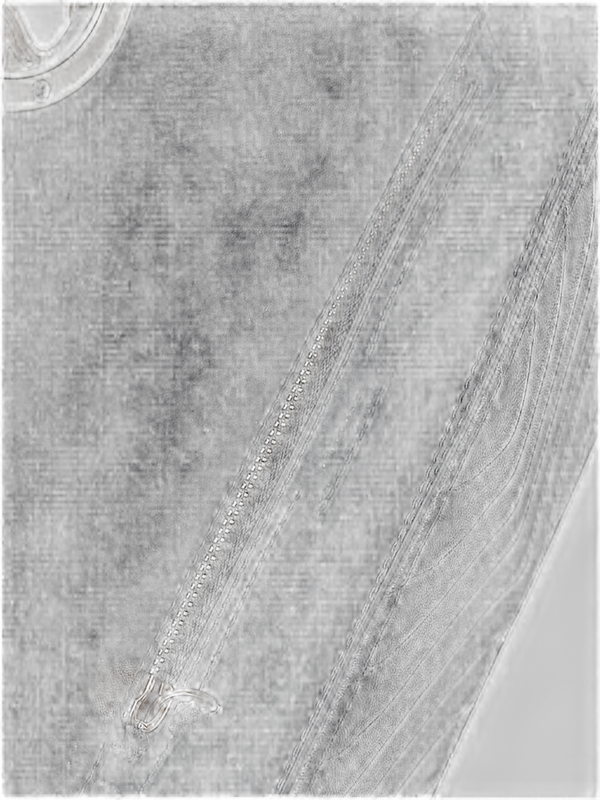 Pinko 60% Polyamide crossbody bag in black