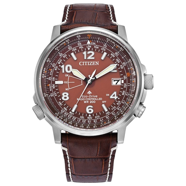 Citizen Stainless steel case watch in brown