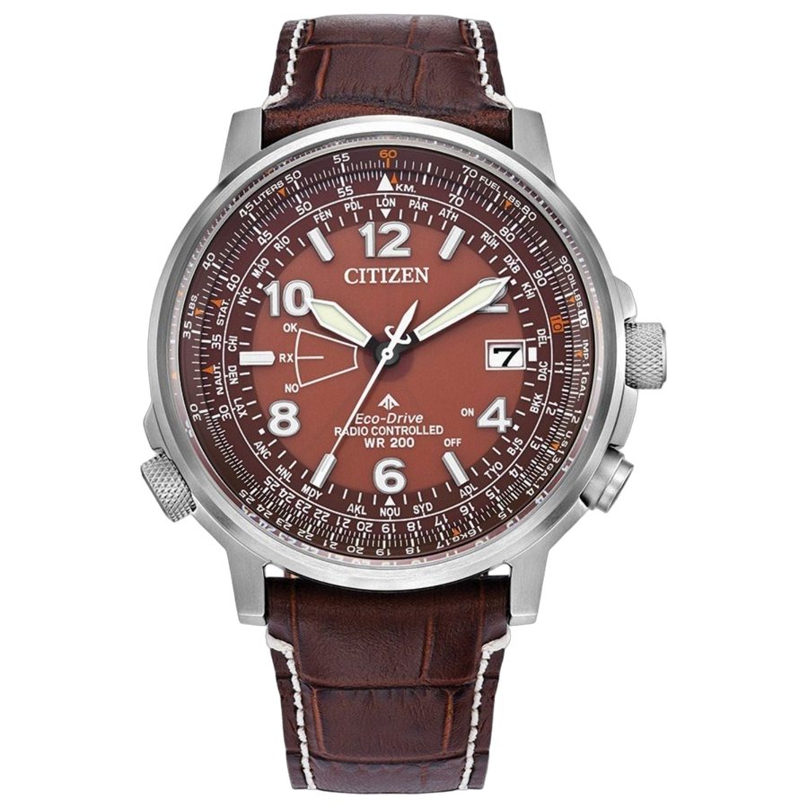 Citizen Stainless steel case watch in brown