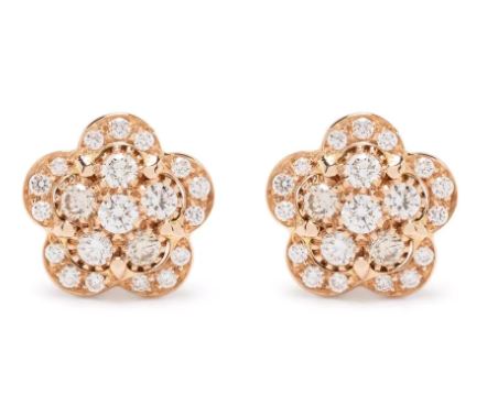 Pasquale Bruni 18kt Rose Gold earrings in rose gold
