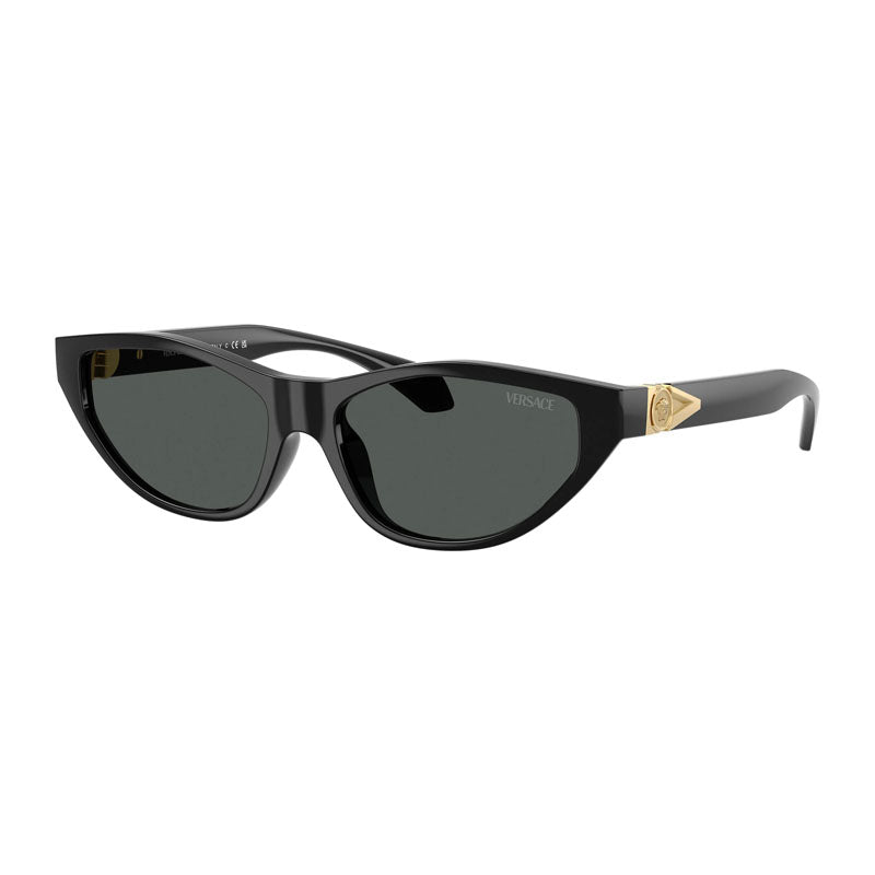 Versace sunglasses in black
