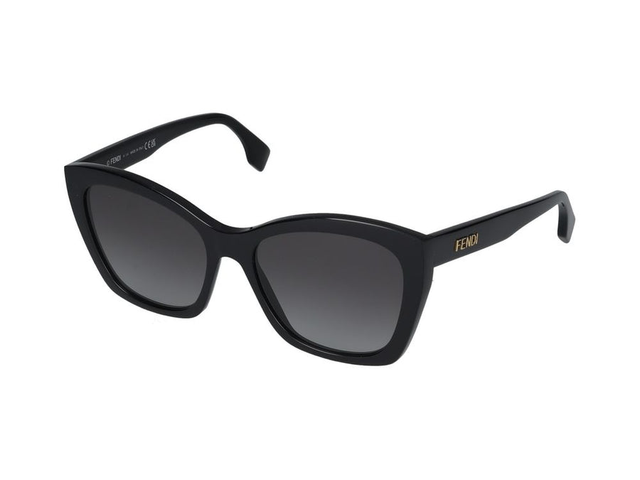 Maison Fendi FE40151I sunglasses in black