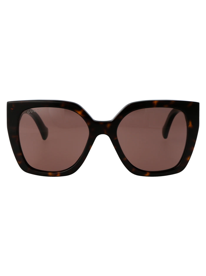 Gg1300s 002 Havana Brown Acetate Sunglasses