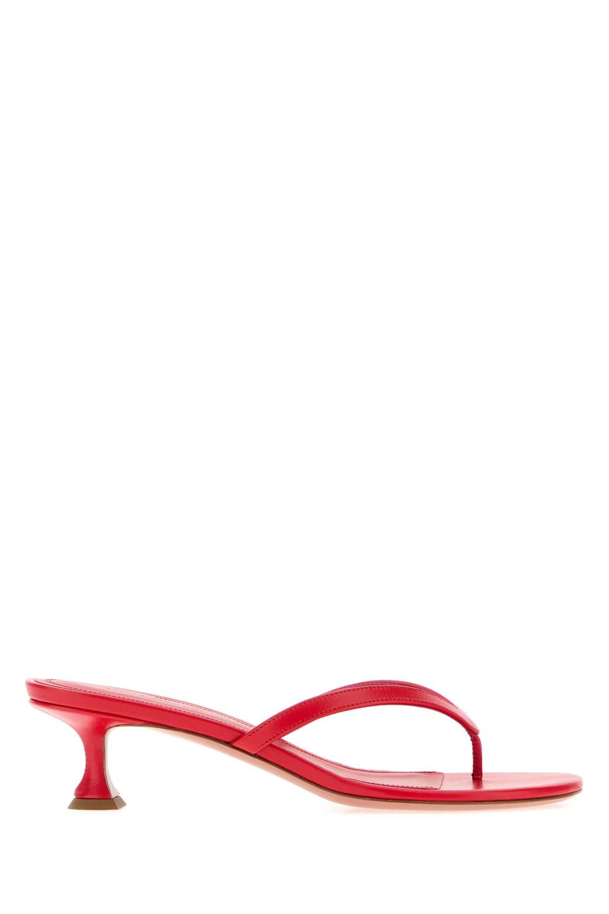 Red Sandali