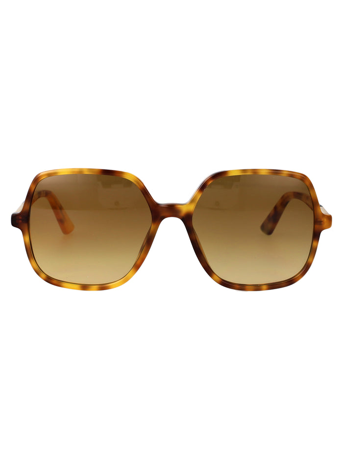 Ch0362s Havana-havana-brown Acetate Sunglasses
