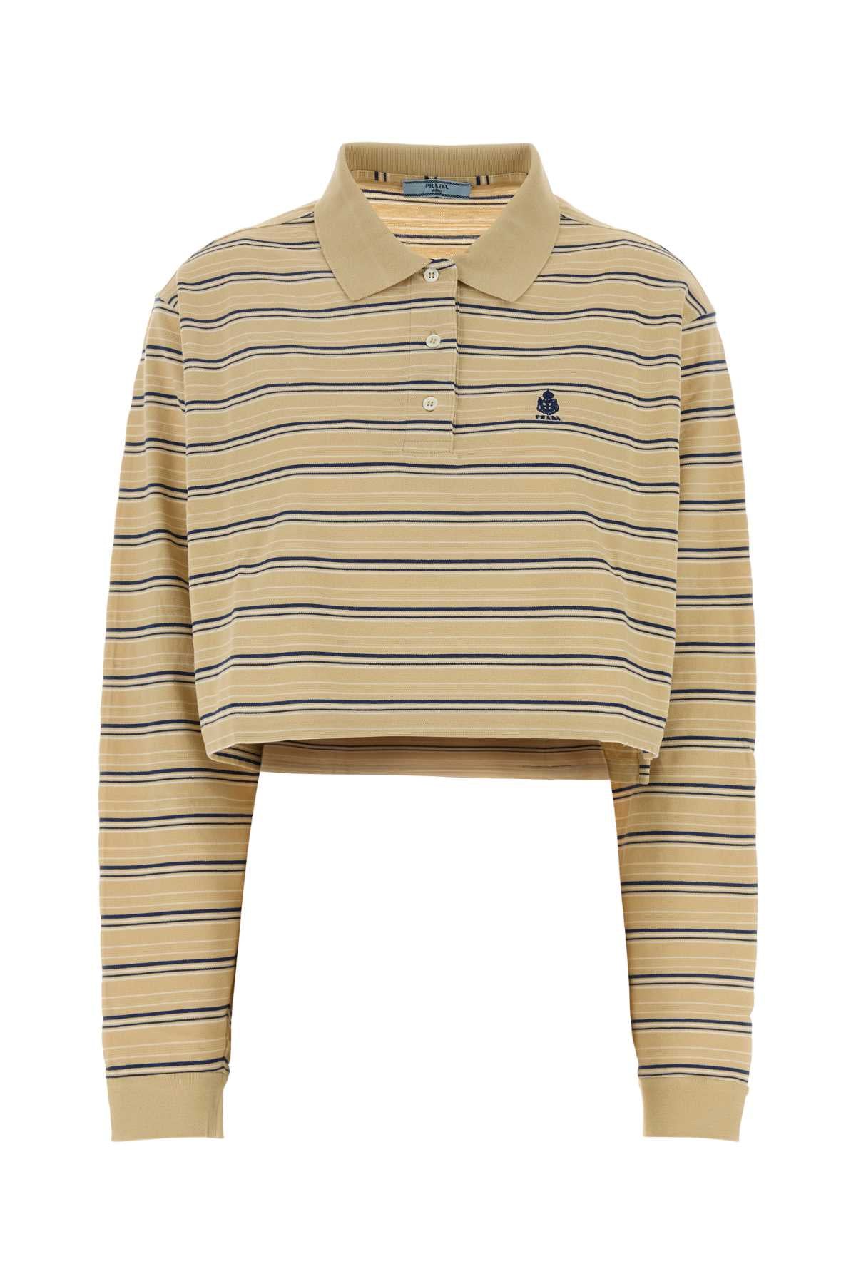Deserto+royal Exterior: Cotton Polo