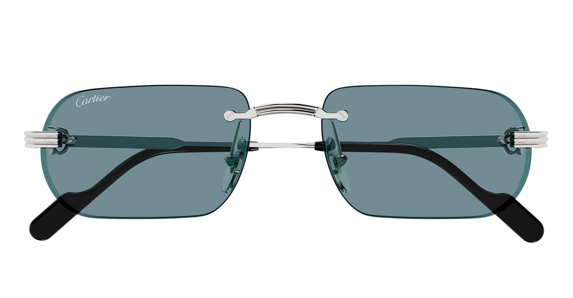 Ct0577s-006 Nd Metal Sunglasses