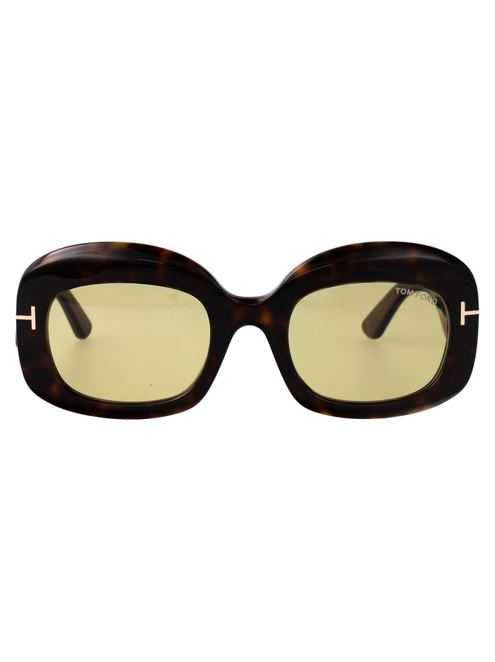 Avana Scura / Marrone Acetate Sunglasses