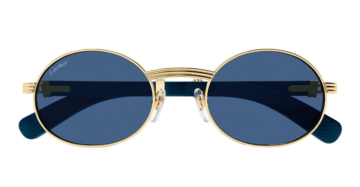 Ct0464s-004 Nd Titanium Sunglasses