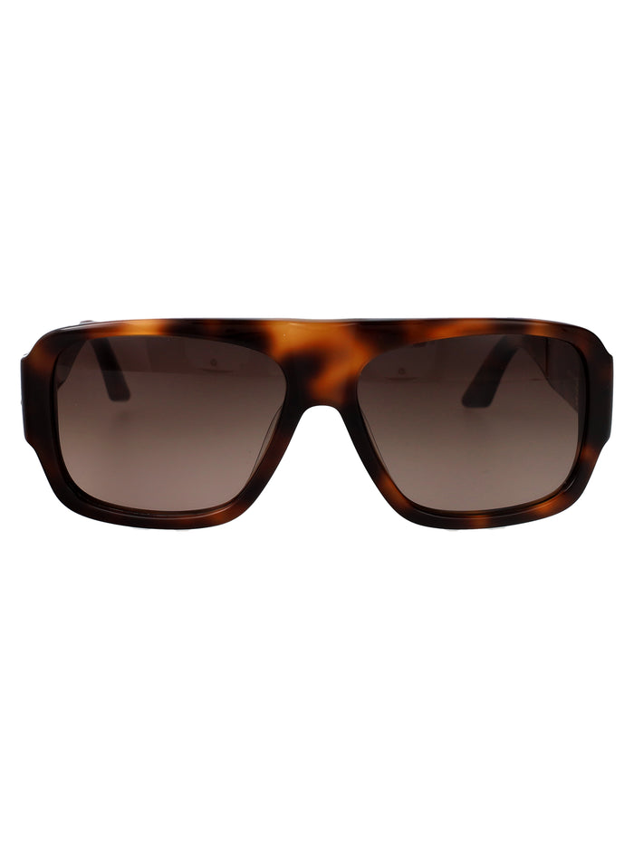Avana Scura / Marrone Grad Acetate Sunglasses