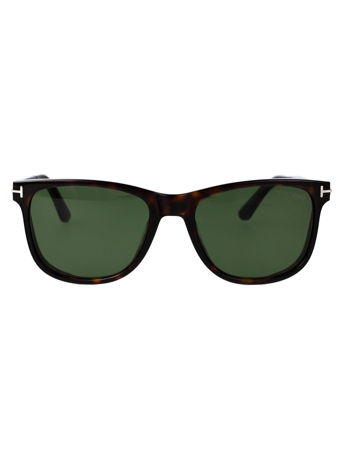Sinatra Avana Scura / Verde Acetate Sunglasses