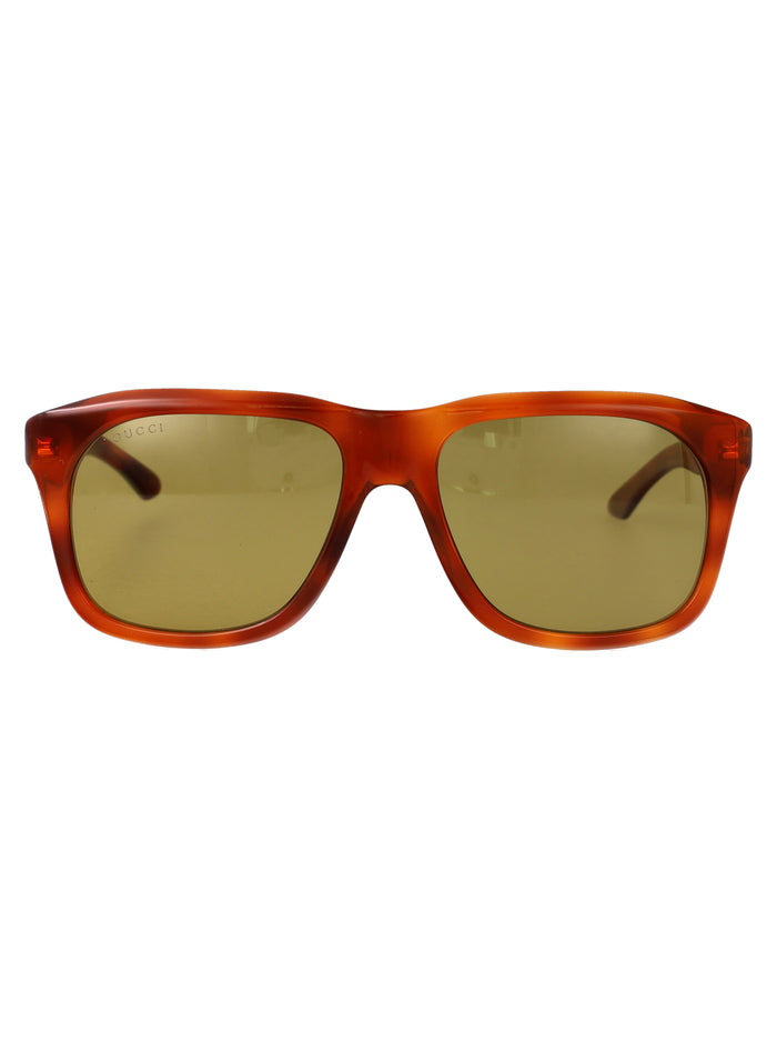 Gg2077s Havana-havana-green Acetate Sunglasses