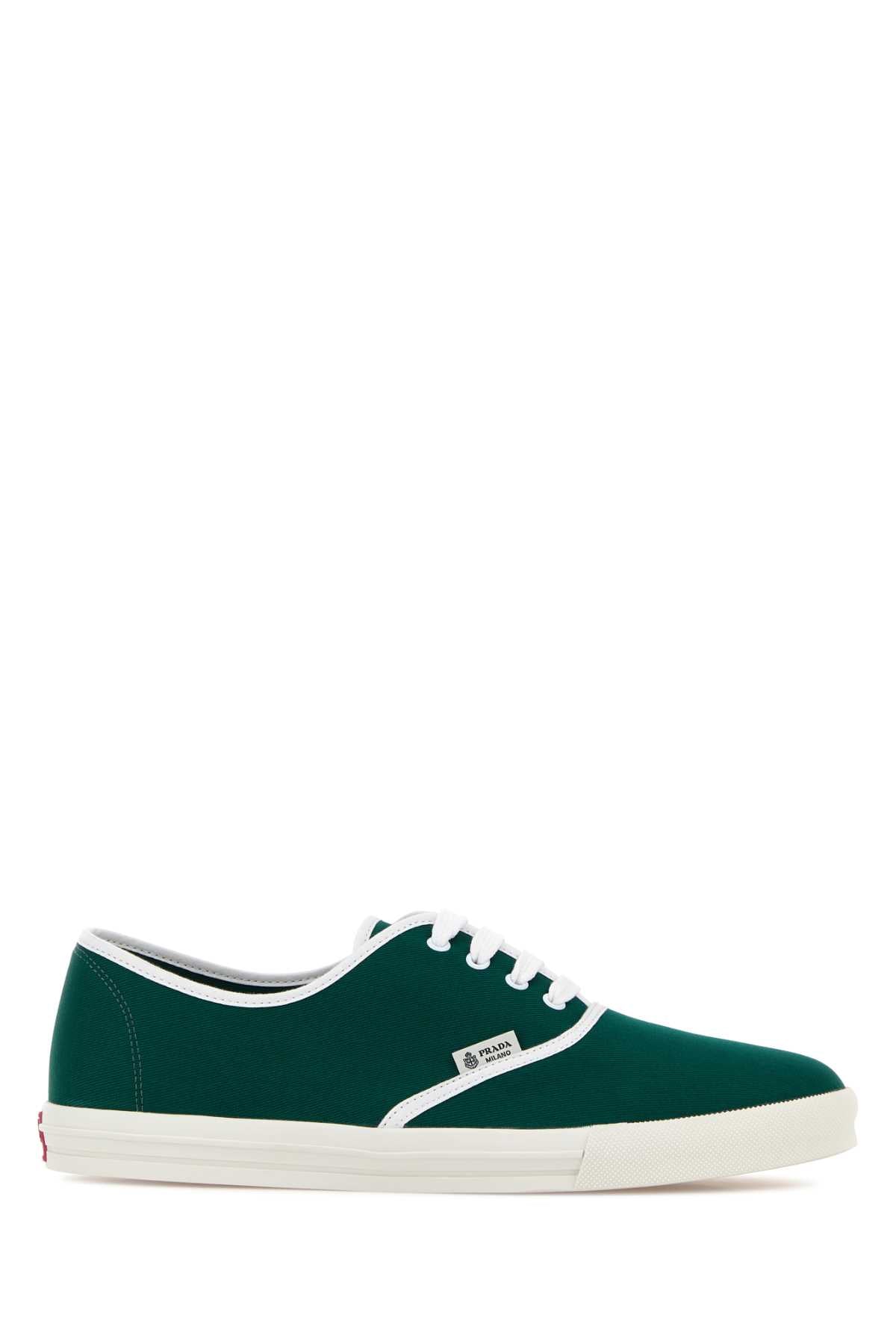 Oleandro Sneaker