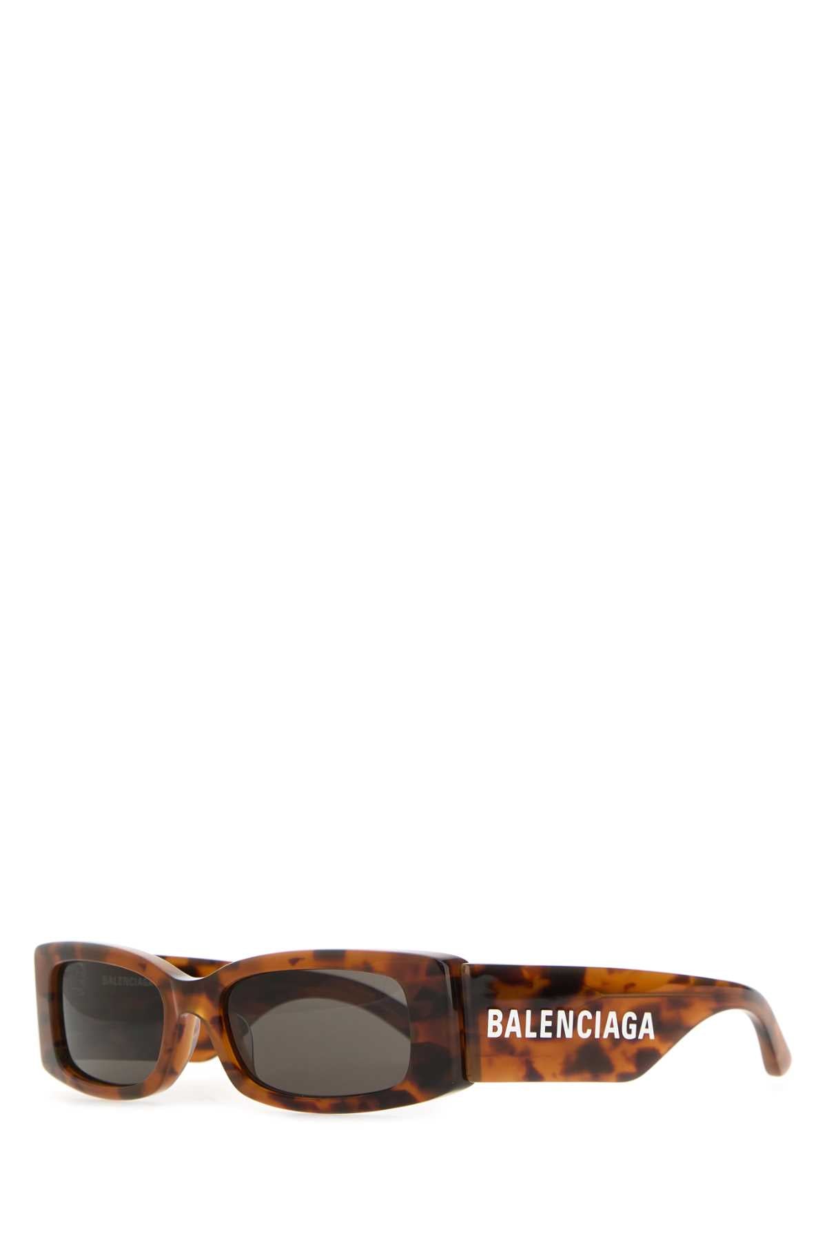 Stretchhavana Exterior: Acetate Occhiali Da Sole