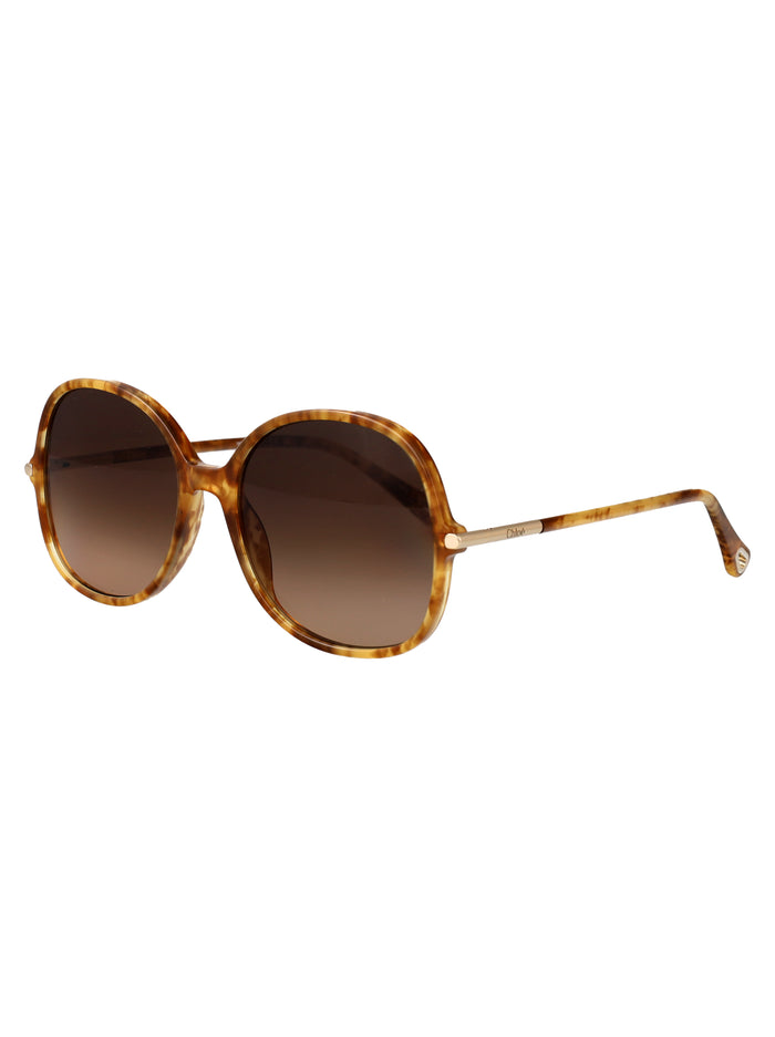 Ch0383s Havana-havana-brown Acetate Sunglasses