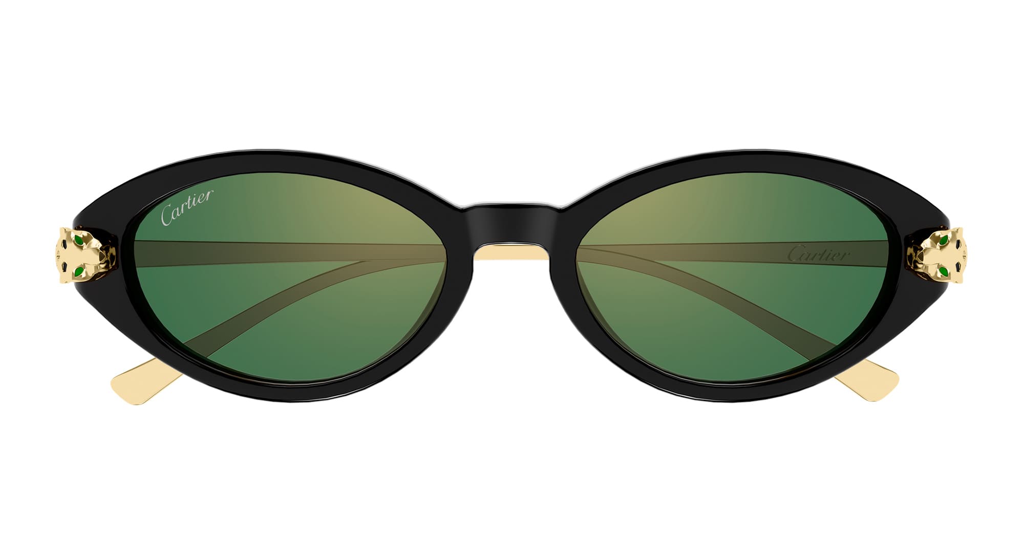 Ct0634s-004 Nd Acetate Sunglasses