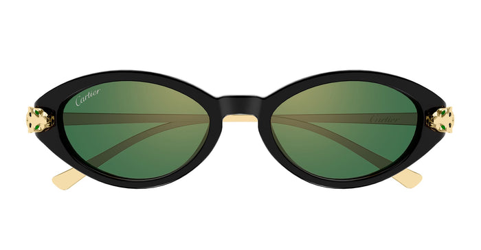 Ct0634s-004 Nd Acetate Sunglasses