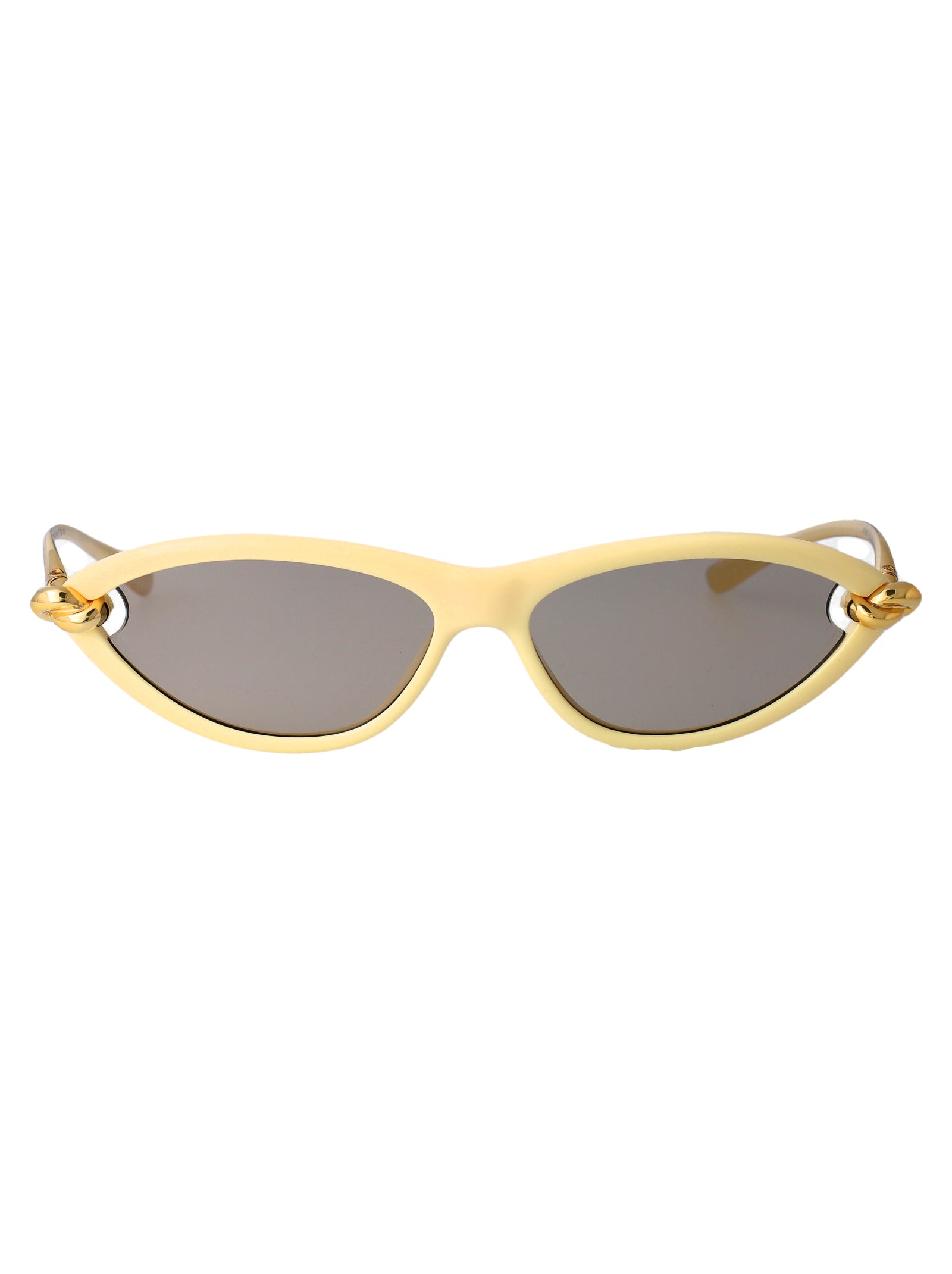 Beige-gold-grey Injected Sunglasses