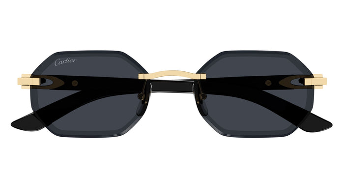 Ct0439s-002 Nd Metal Sunglasses
