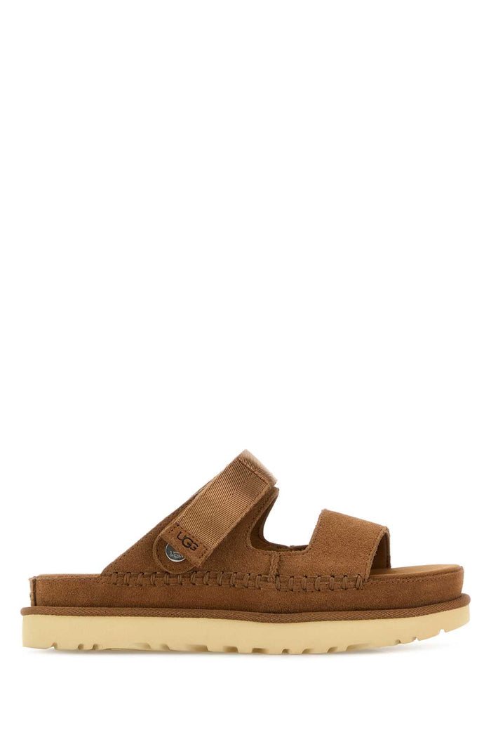 Biscuit Suede Goldenstar Slippers Chestnut Upper Material Leather