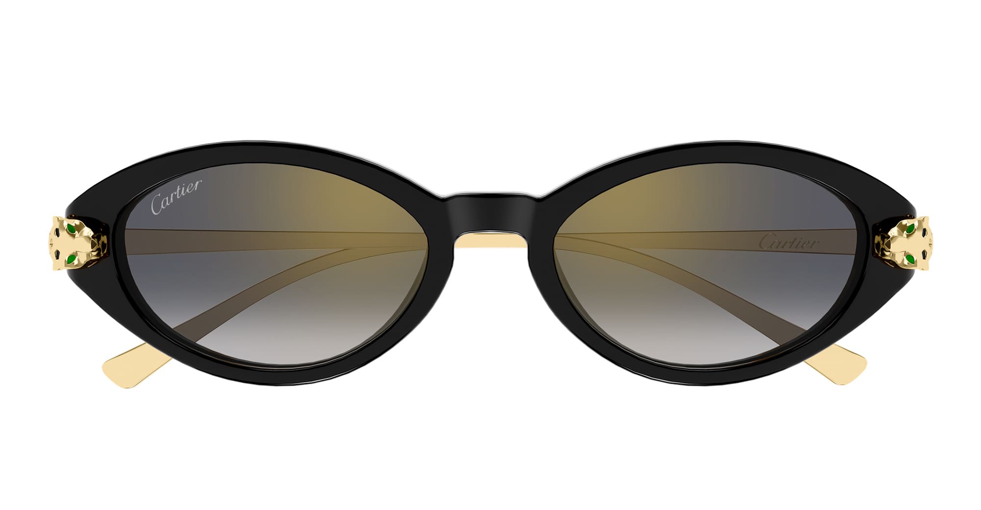 Ct0634s-001 Nd Acetate Sunglasses