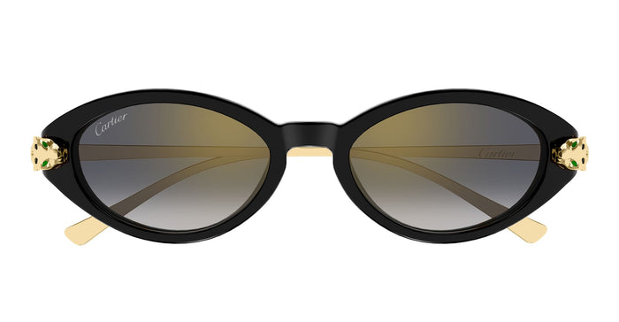 Ct0634s-001 Nd Acetate Sunglasses