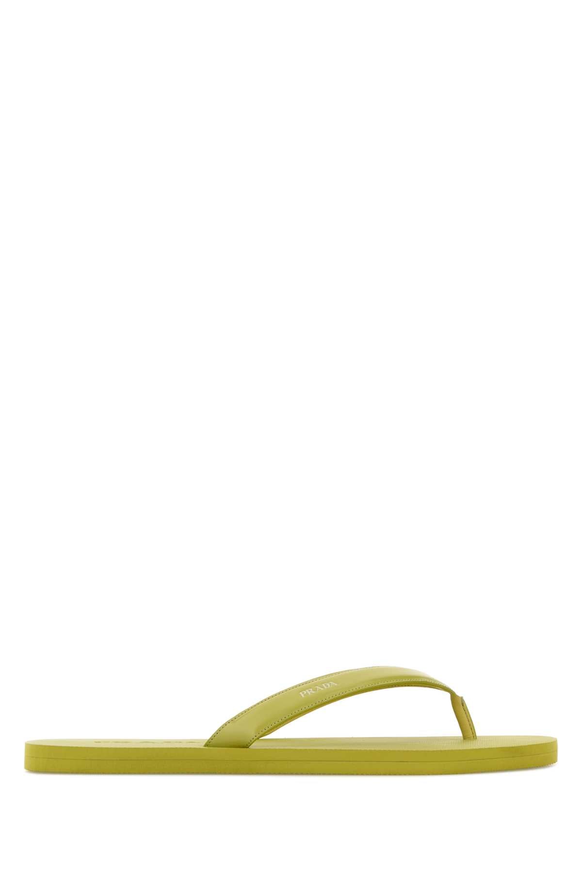 Lime Slippers