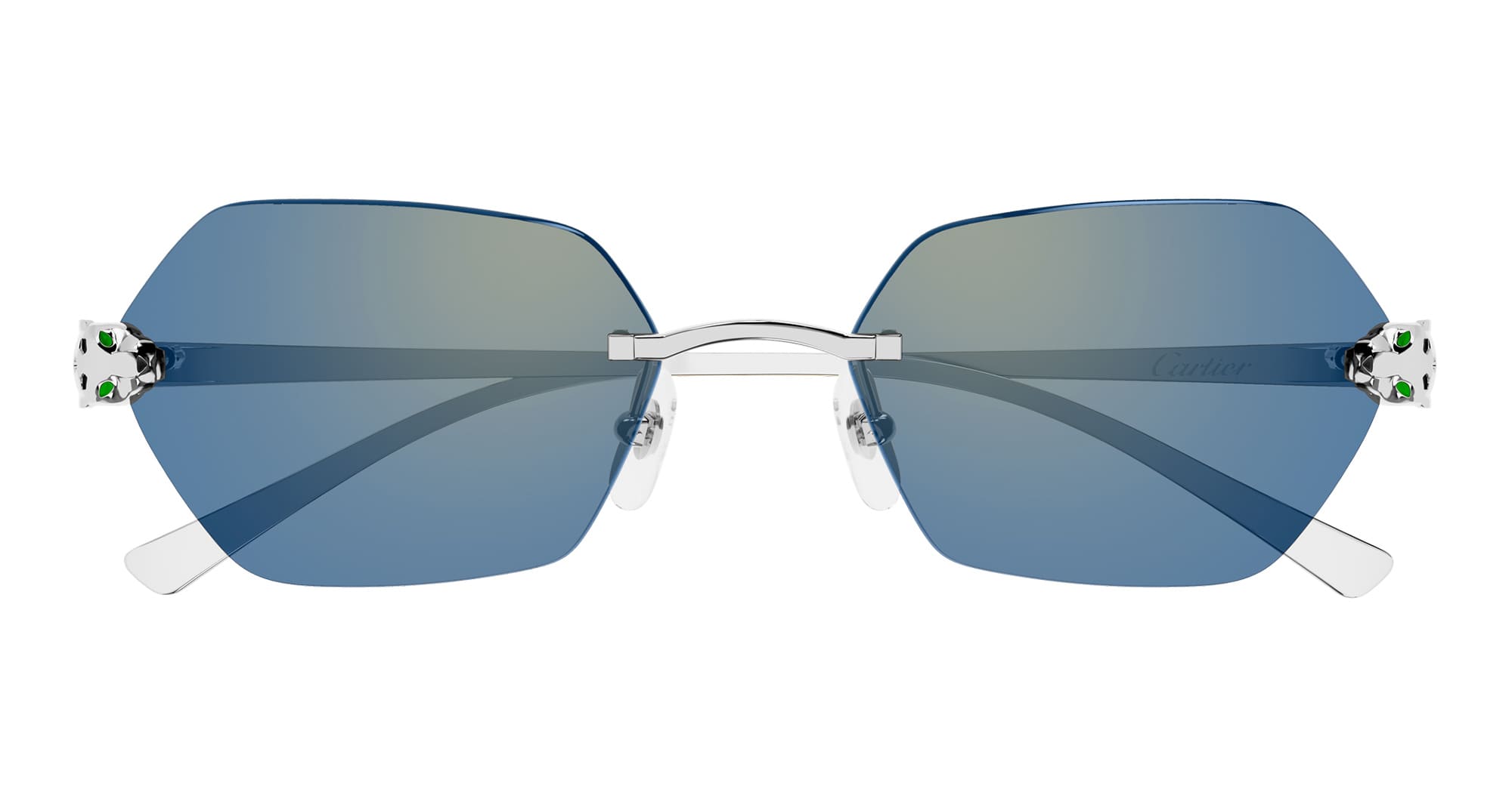 Ct0636s-004 Nd Metal Sunglasses
