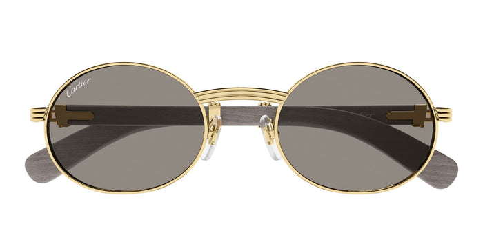 Ct0464s-019 Nd Titanium Sunglasses